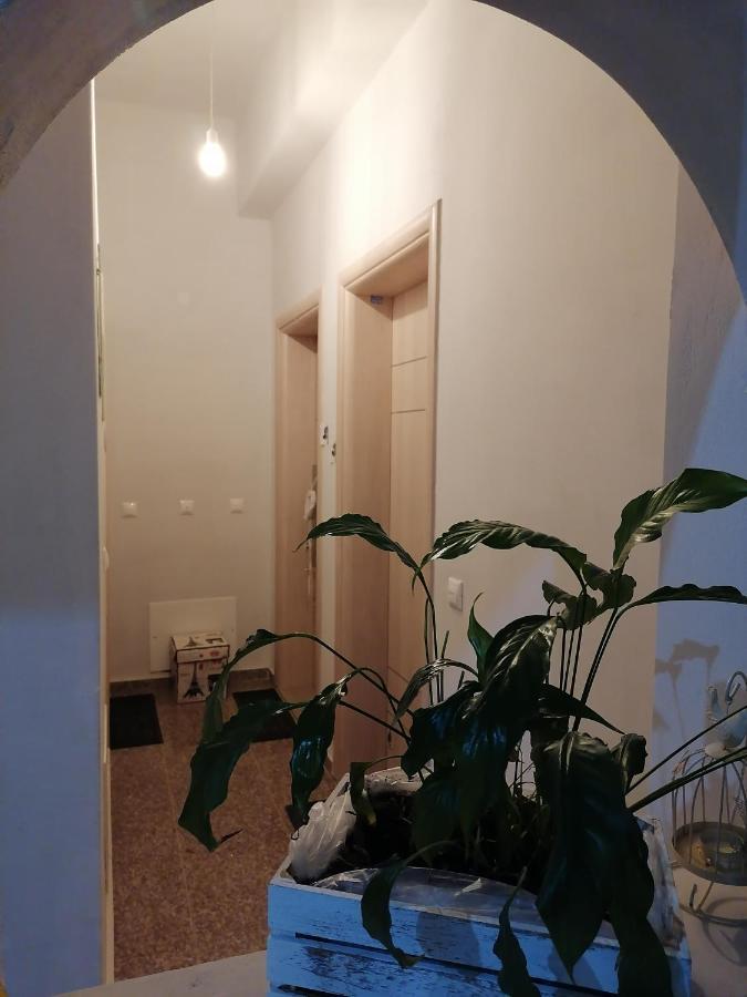 Eliora Studio & Aelia Apartment 伊拉克利翁 外观 照片